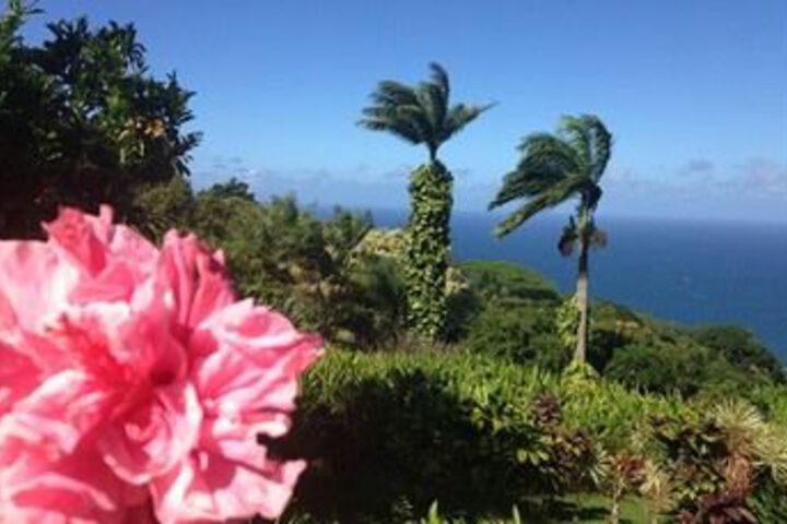 Anuhea Tropical Home