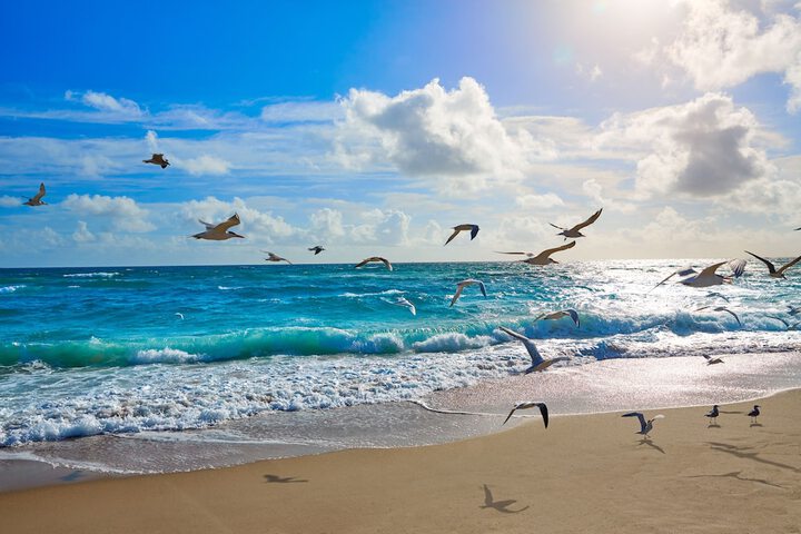 Beach 343 of 412