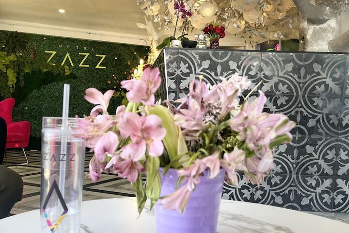 Hotel Zazz