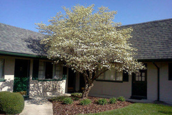 The Shaker Inn