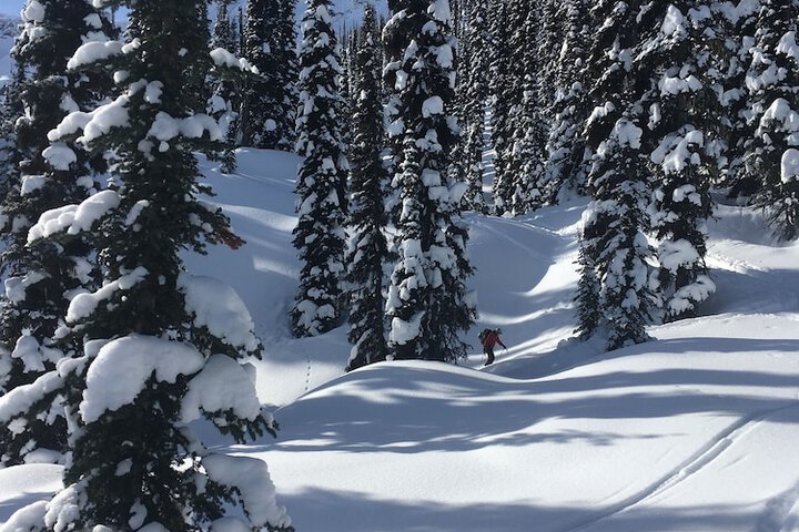 Snowy Mountain Lodge