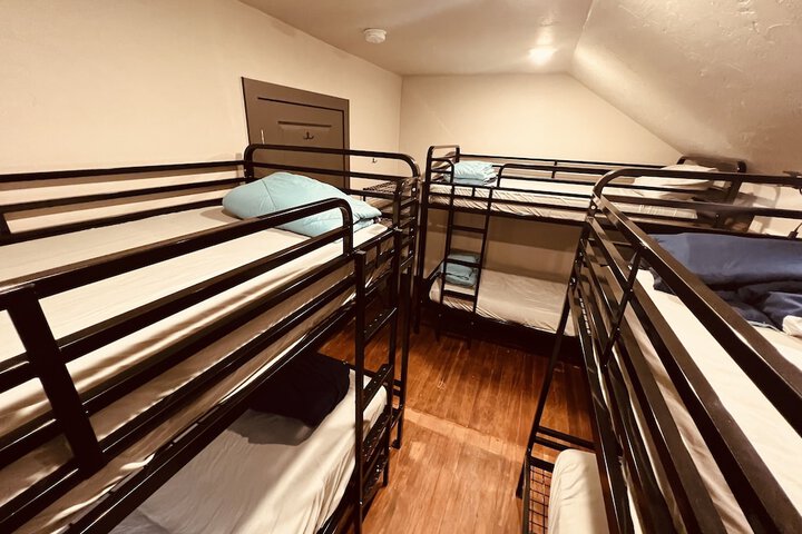 Treeline Hostel