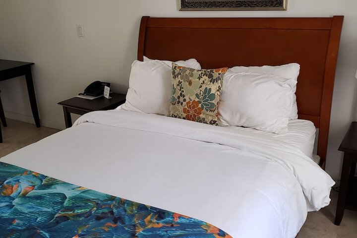 Room 37 of 62