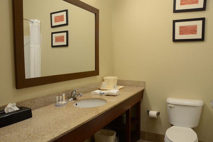 Comfort Inn & Suites Cave City