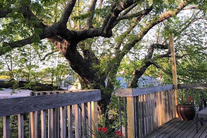 Property Grounds 22 of 22