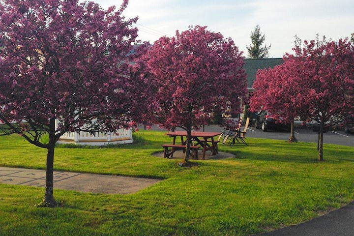Property Grounds 64 of 66