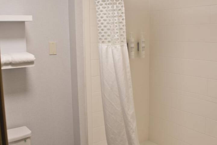 Hampton Inn & Suites Denver-Speer Boulevard