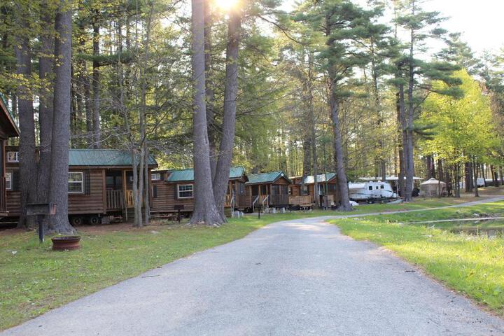 Alpine Lake Lakefront Cabin 5