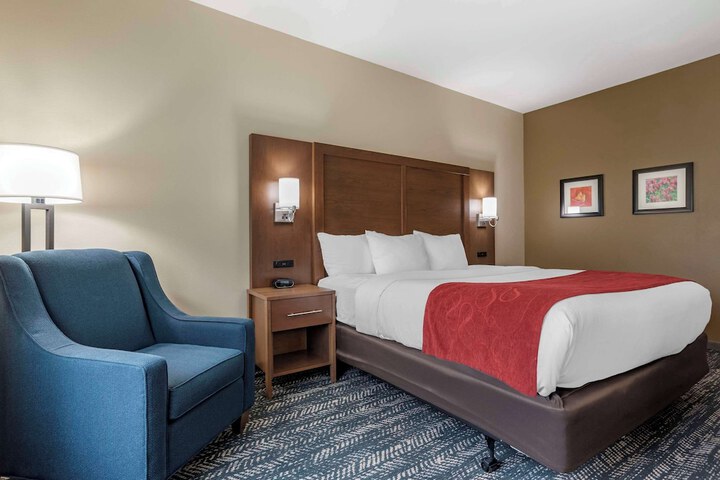 Comfort Inn & Suites Downtown near University