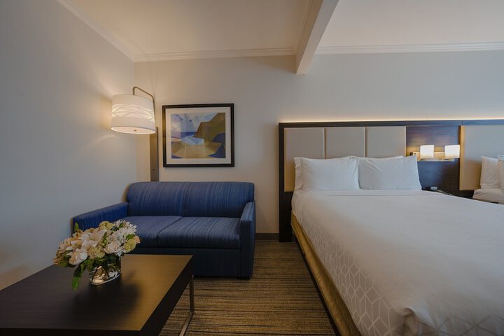 Holiday Inn Express & Suites Santa Clara-Silicon Valley by IHG