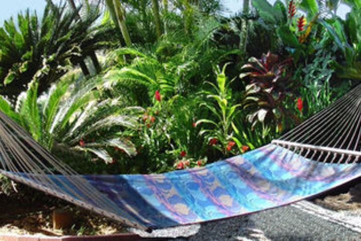 Adventure in Paradise