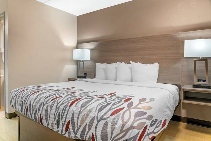 Red Roof Inn Detroit-Rochester Hills / Auburn Hills