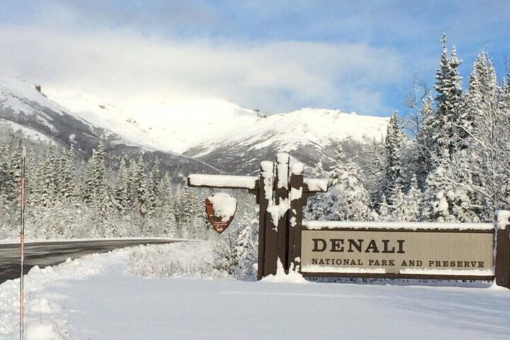 Denali Primrose B & B