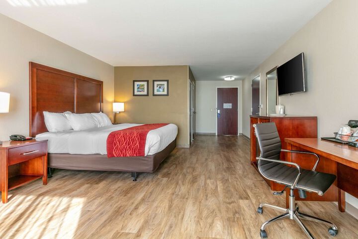 Room 6 of 31