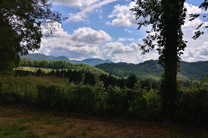 Arrowmont Stables & Cabins
