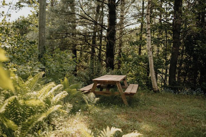 Nature Nature