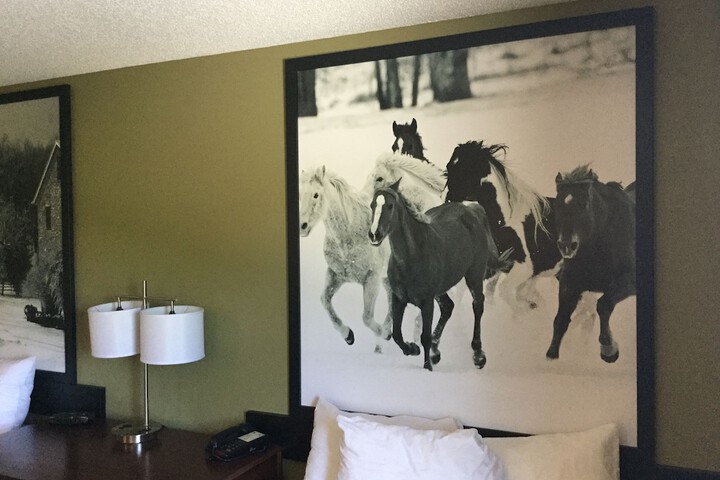 Room 35 of 53
