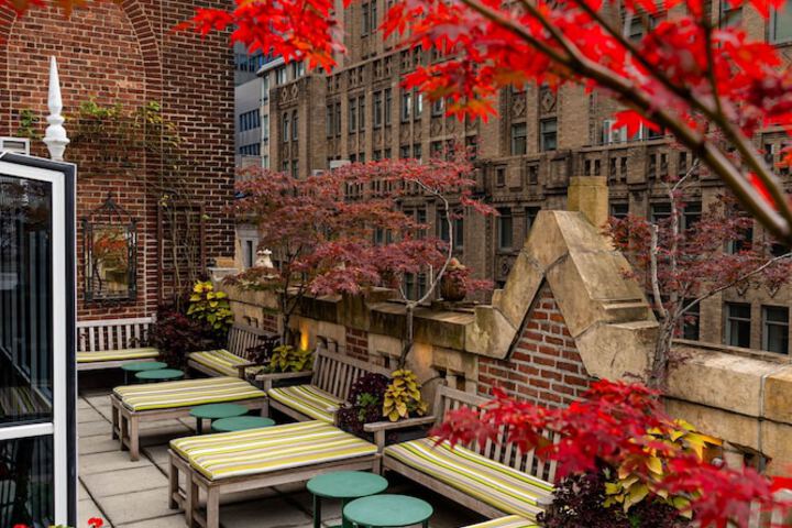 Terrace/Patio 50 of 53
