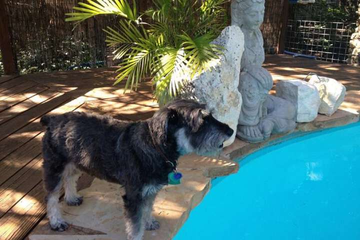 Pool 14 of 108