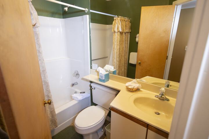 1br Ski-in Ski-out With King Bed- Okemo Mtn Lodge 1 Bedroom Condo by RedAwning