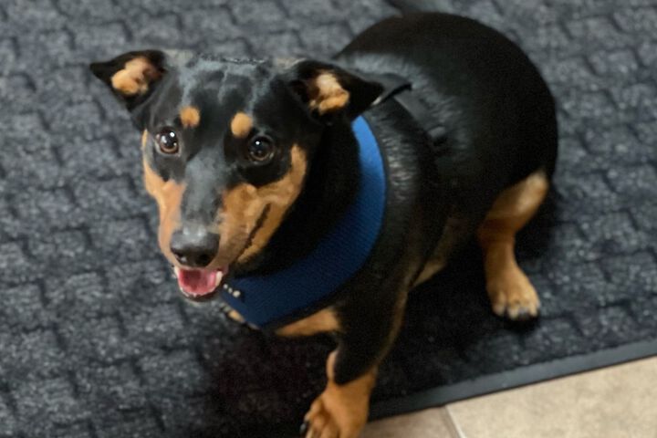 Pet Friendly 19 of 19