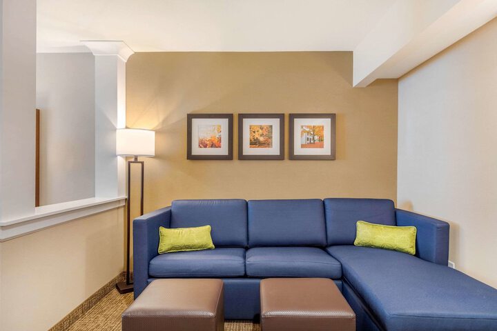 Comfort Inn & Suites Schenectady - Scotia