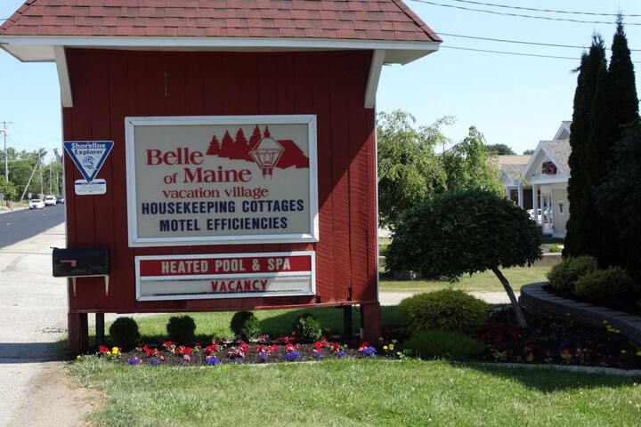 BELLE OF MAINE