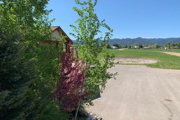 Property Grounds 15 of 24