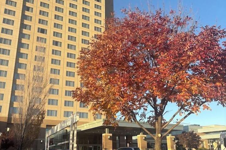Sheraton Overland Park Hotel at the Convention Center
