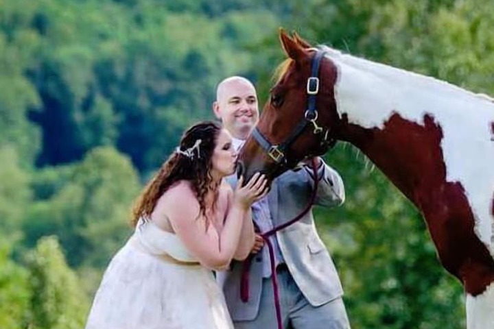 Wedding/Banquet 45 of 63