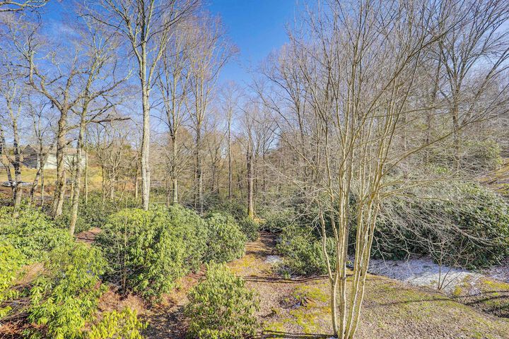 Near Hiking: Blue Ridge Mtn Home on Private Acre