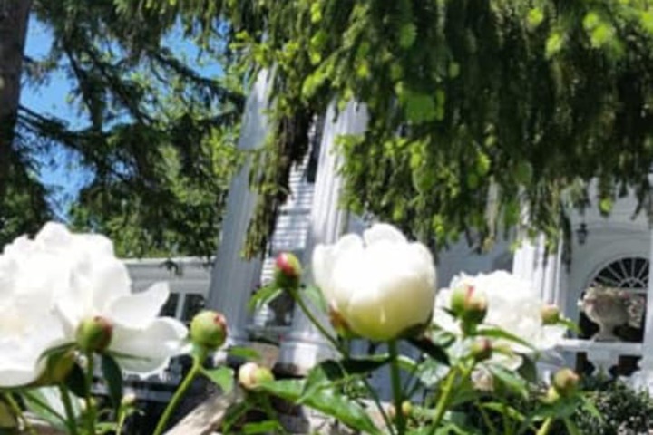 Albemarle Inn