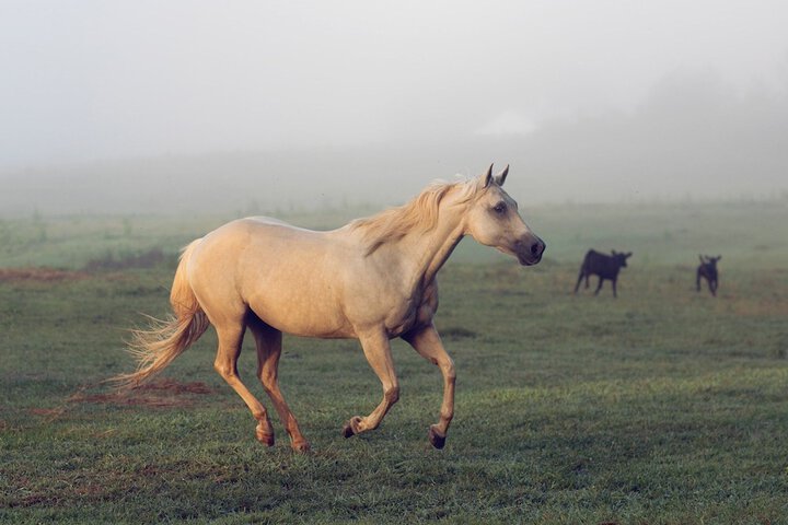 Seventy-four Ranch