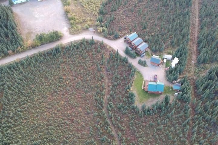 Denalis Alaskan Spruce Cabins