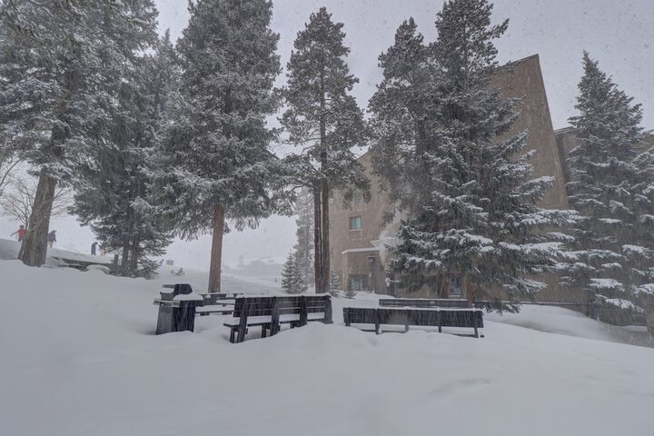 Property Grounds 12 of 18