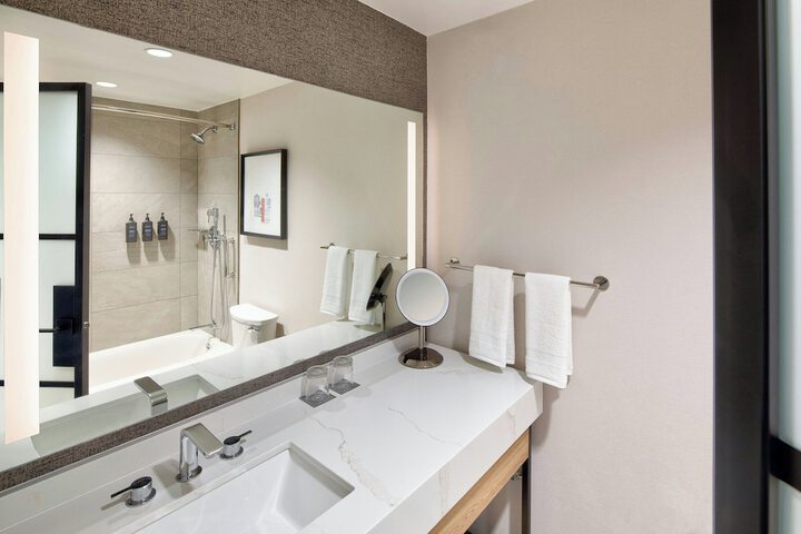 Sheraton Fort Worth Downtown Hotel