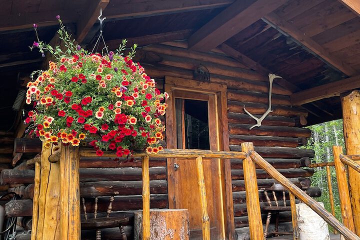 Carlo Creek Cabins