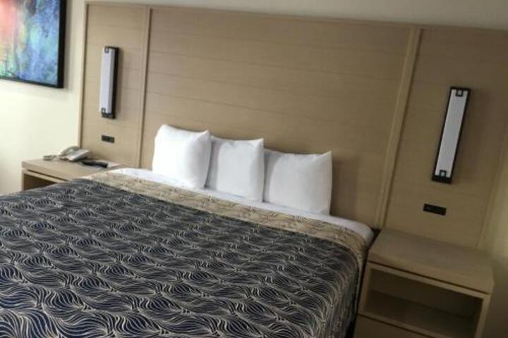 Palace Inn Harwin