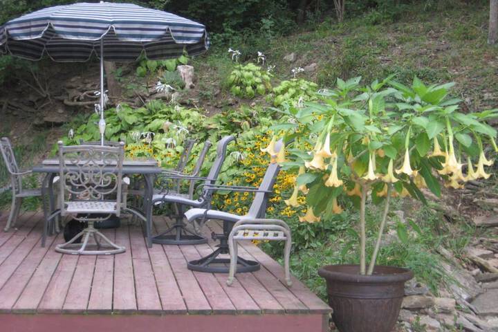 Terrace/Patio 36 of 47