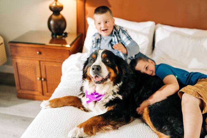 Pet Friendly 56 of 57