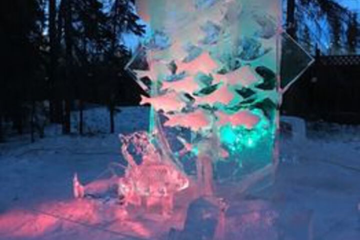 Fairbanks Moose Manor B & B