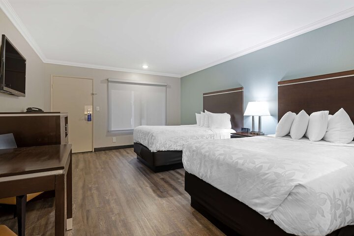 Room 19 of 29