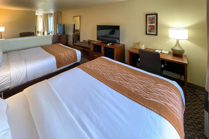 Comfort Inn & Suites Midtown