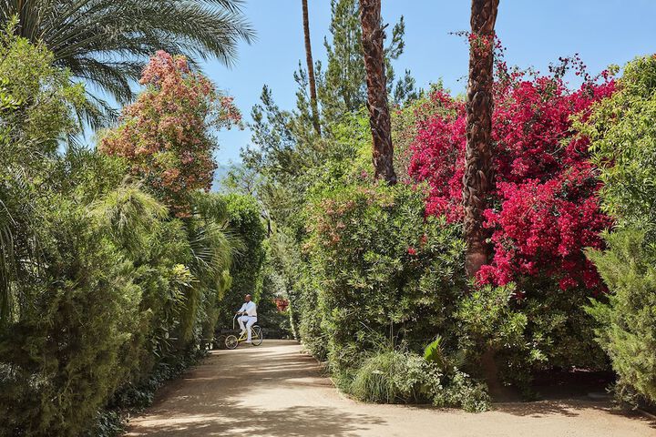 Parker Palm Springs