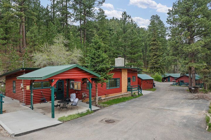 Ponderosa Pines