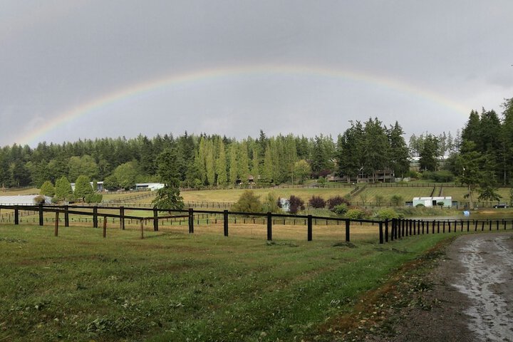 Wildwood Farm B & B