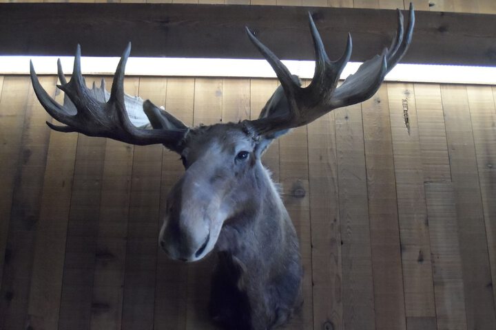 Bear Lodge Motel