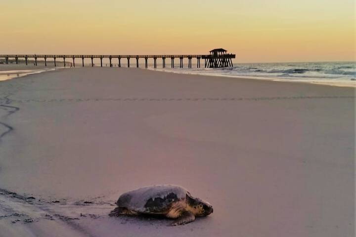 Hotel Tybee