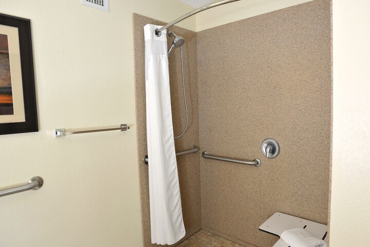 Holiday Inn Hotel & Suites Charleston West by IHG
