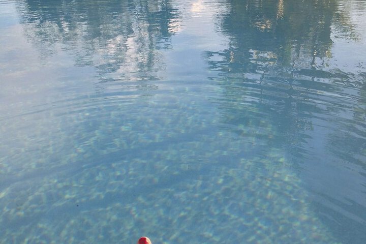 Pool 7 of 86